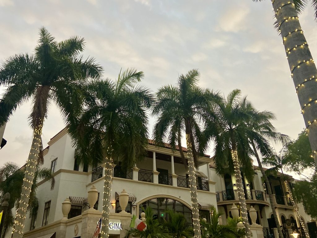 Palm trees wrapped in lights on Fifth Avenue South in Naples, Florida during sunset – perfect snowbird destination.